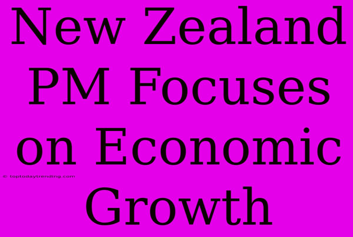 New Zealand PM Focuses On Economic Growth