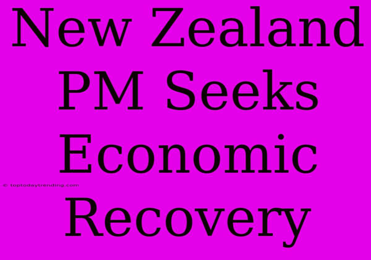 New Zealand PM Seeks Economic Recovery