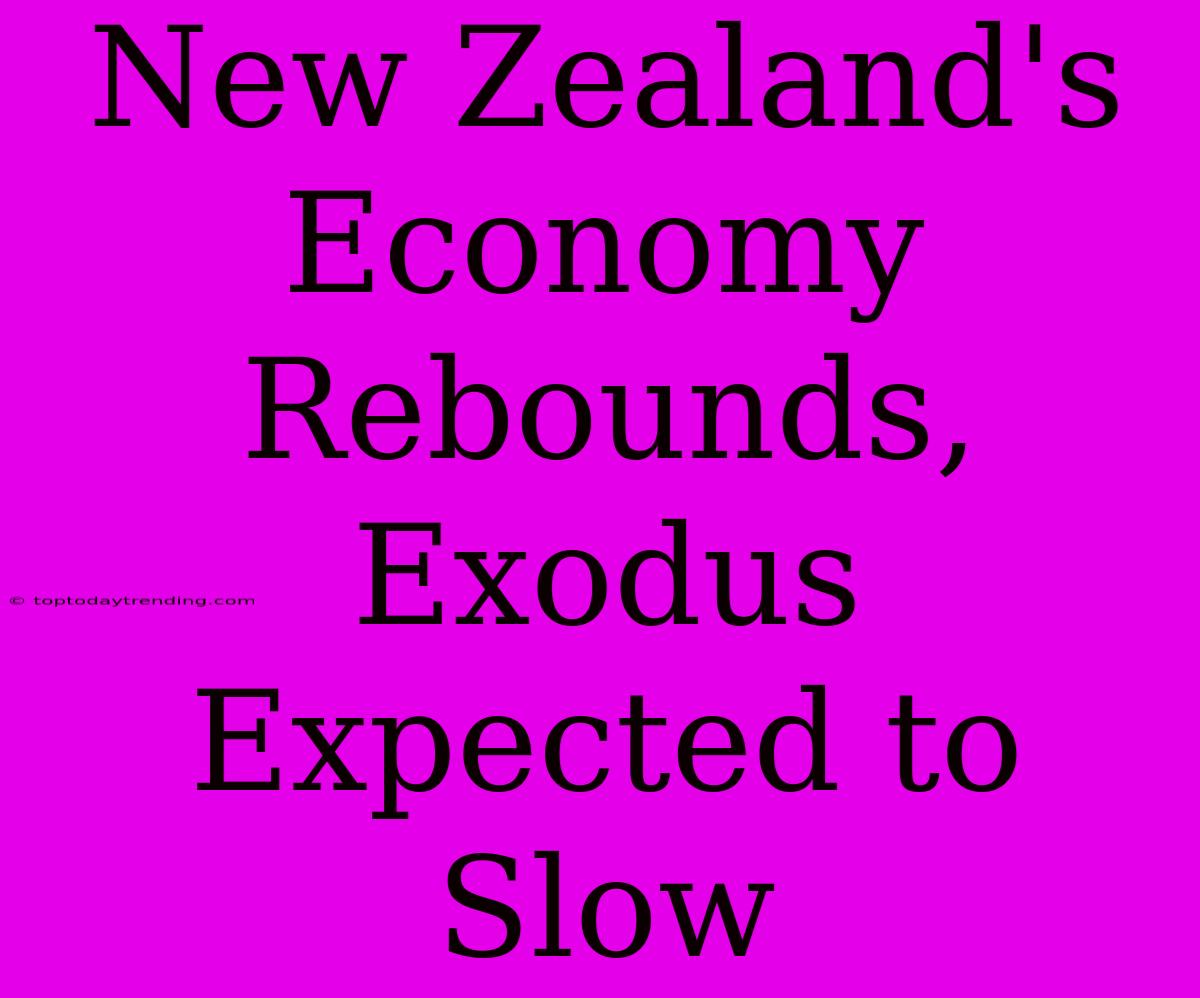 New Zealand's Economy Rebounds, Exodus Expected To Slow