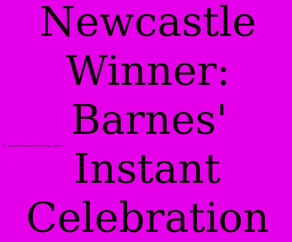 Newcastle Winner: Barnes' Instant Celebration