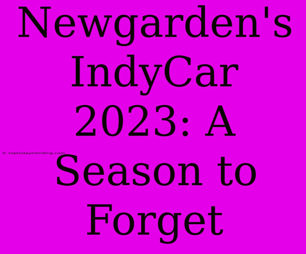 Newgarden's IndyCar 2023: A Season To Forget