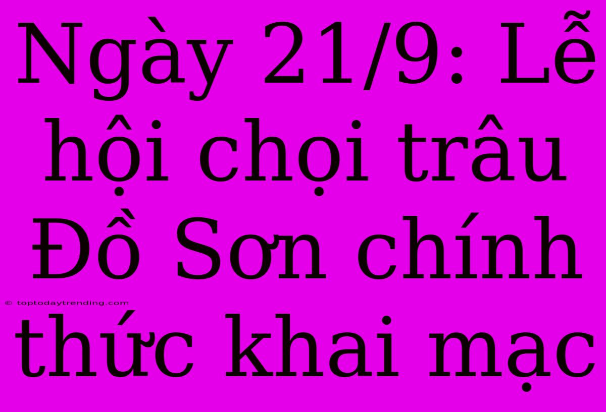 Ngày 21/9: Lễ Hội Chọi Trâu Đồ Sơn Chính Thức Khai Mạc