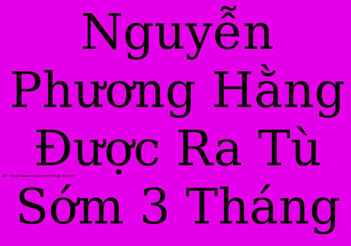 Nguyễn Phương Hằng Được Ra Tù Sớm 3 Tháng