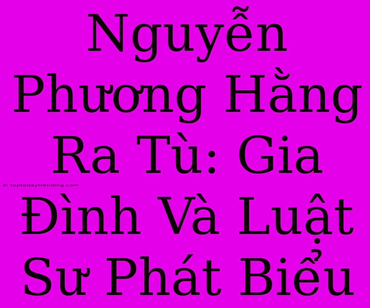 Nguyễn Phương Hằng Ra Tù: Gia Đình Và Luật Sư Phát Biểu