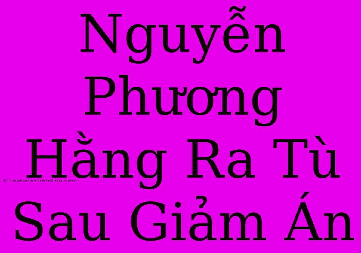 Nguyễn Phương Hằng Ra Tù Sau Giảm Án