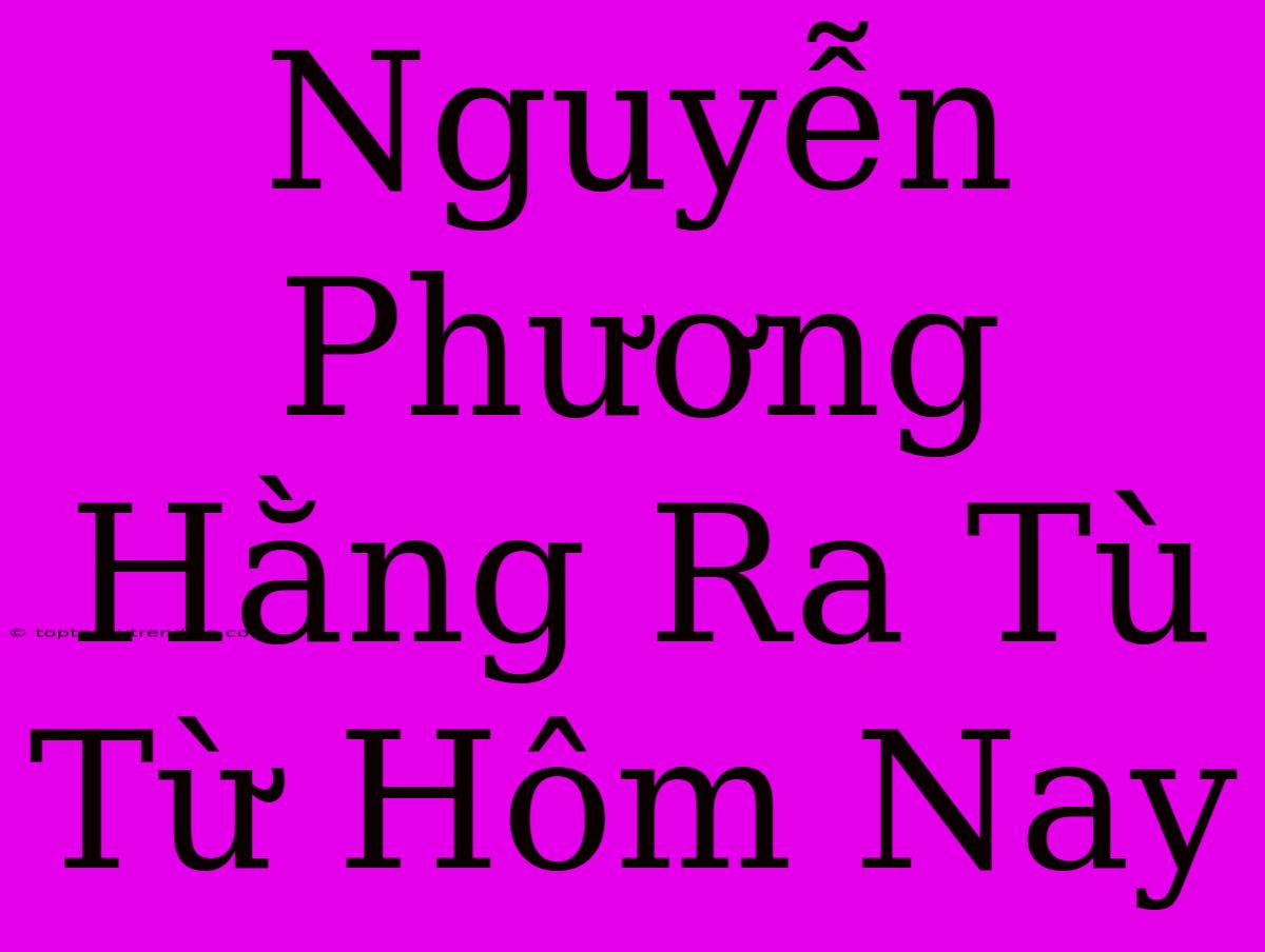 Nguyễn Phương Hằng Ra Tù Từ Hôm Nay