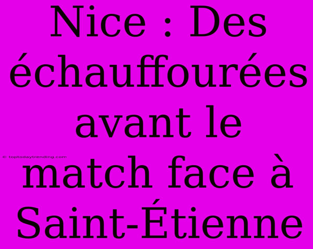 Nice : Des Échauffourées Avant Le Match Face À Saint-Étienne