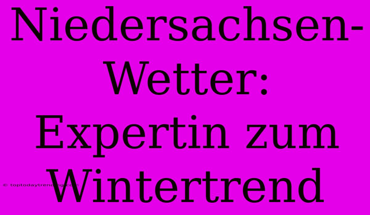 Niedersachsen-Wetter: Expertin Zum Wintertrend