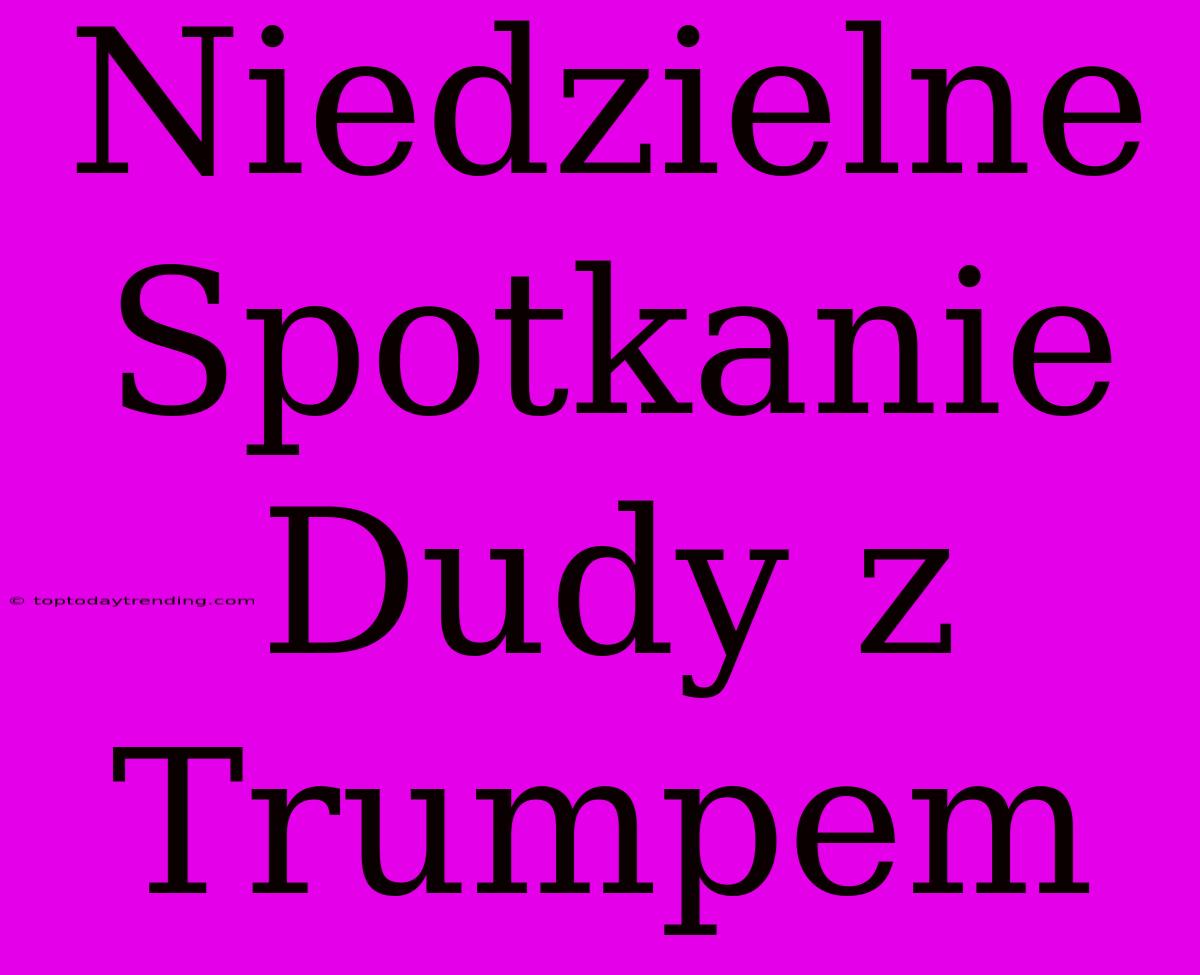 Niedzielne Spotkanie Dudy Z Trumpem