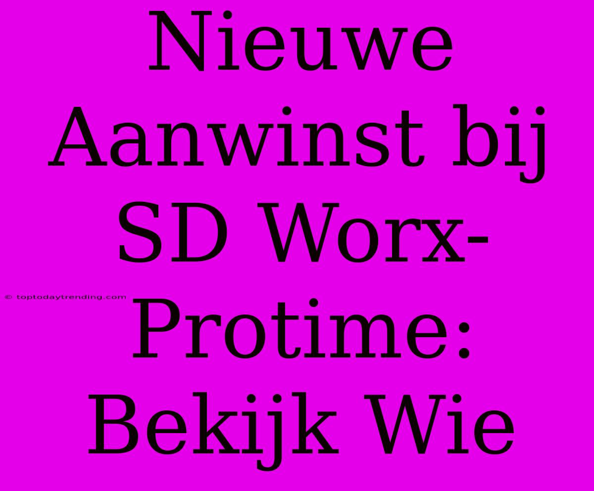 Nieuwe Aanwinst Bij SD Worx-Protime: Bekijk Wie