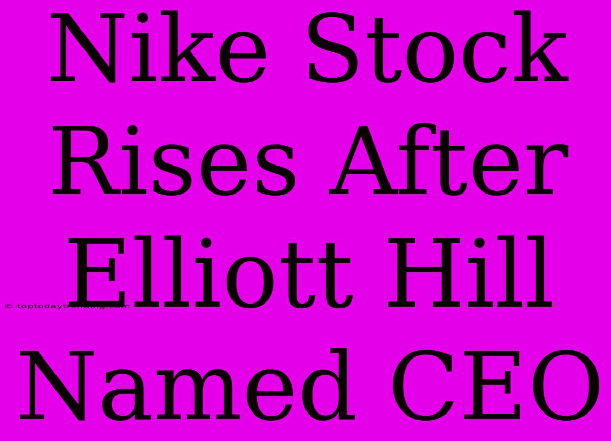 Nike Stock Rises After Elliott Hill Named CEO