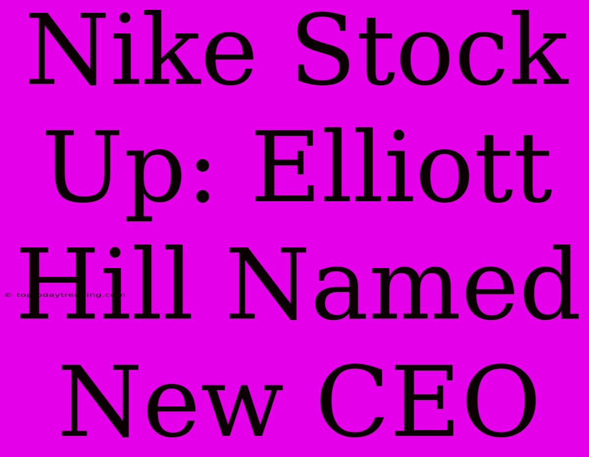 Nike Stock Up: Elliott Hill Named New CEO