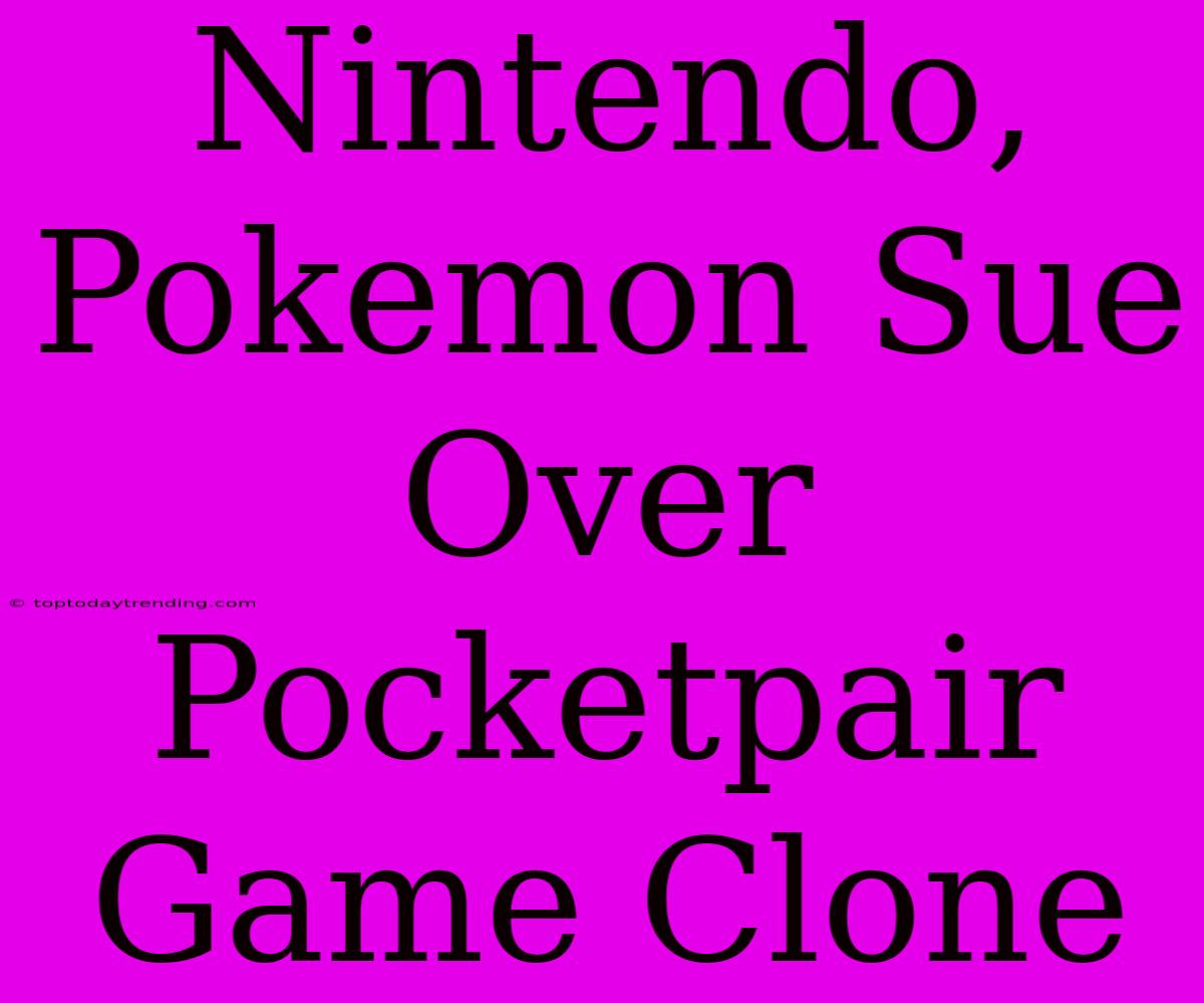 Nintendo, Pokemon Sue Over Pocketpair Game Clone