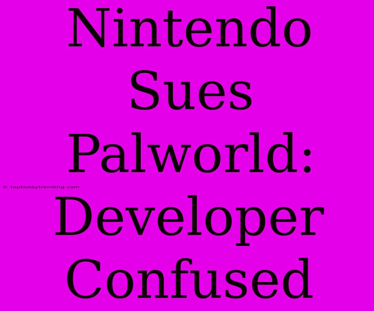 Nintendo Sues Palworld: Developer Confused