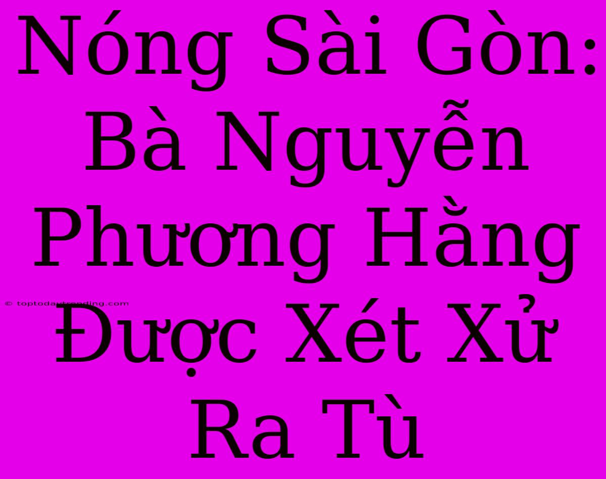 Nóng Sài Gòn: Bà Nguyễn Phương Hằng Được Xét Xử Ra Tù