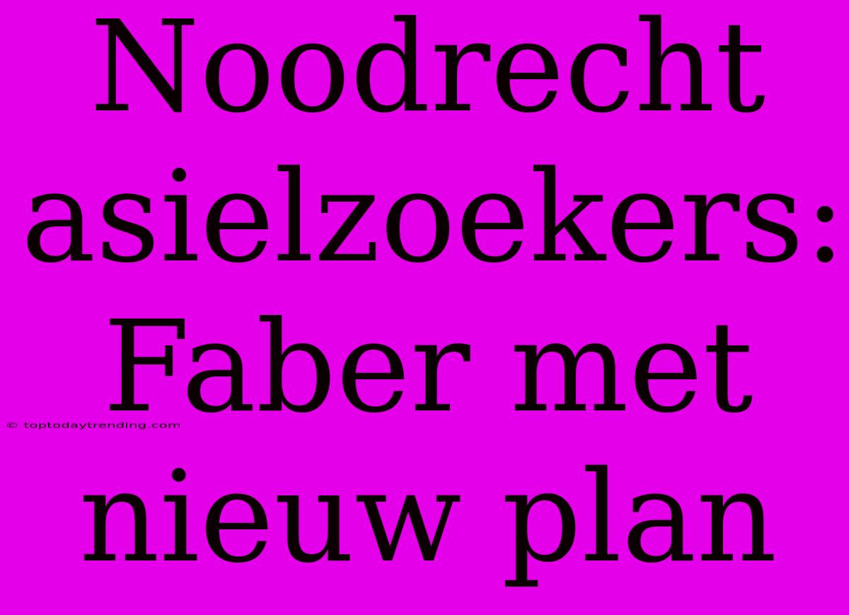 Noodrecht Asielzoekers: Faber Met Nieuw Plan