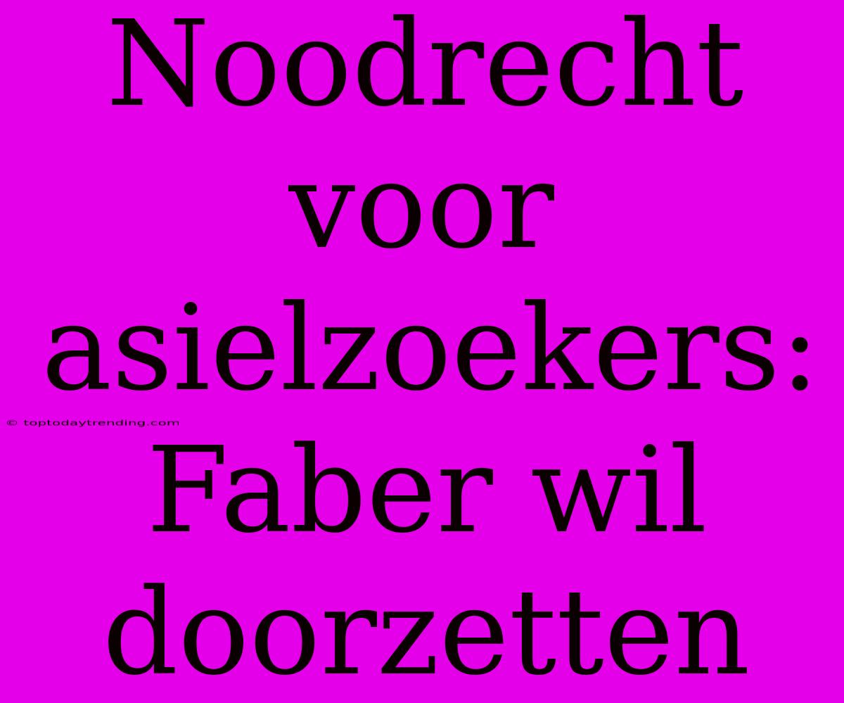 Noodrecht Voor Asielzoekers: Faber Wil Doorzetten