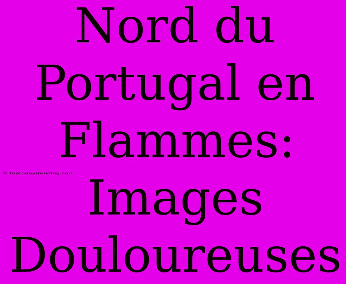 Nord Du Portugal En Flammes: Images Douloureuses