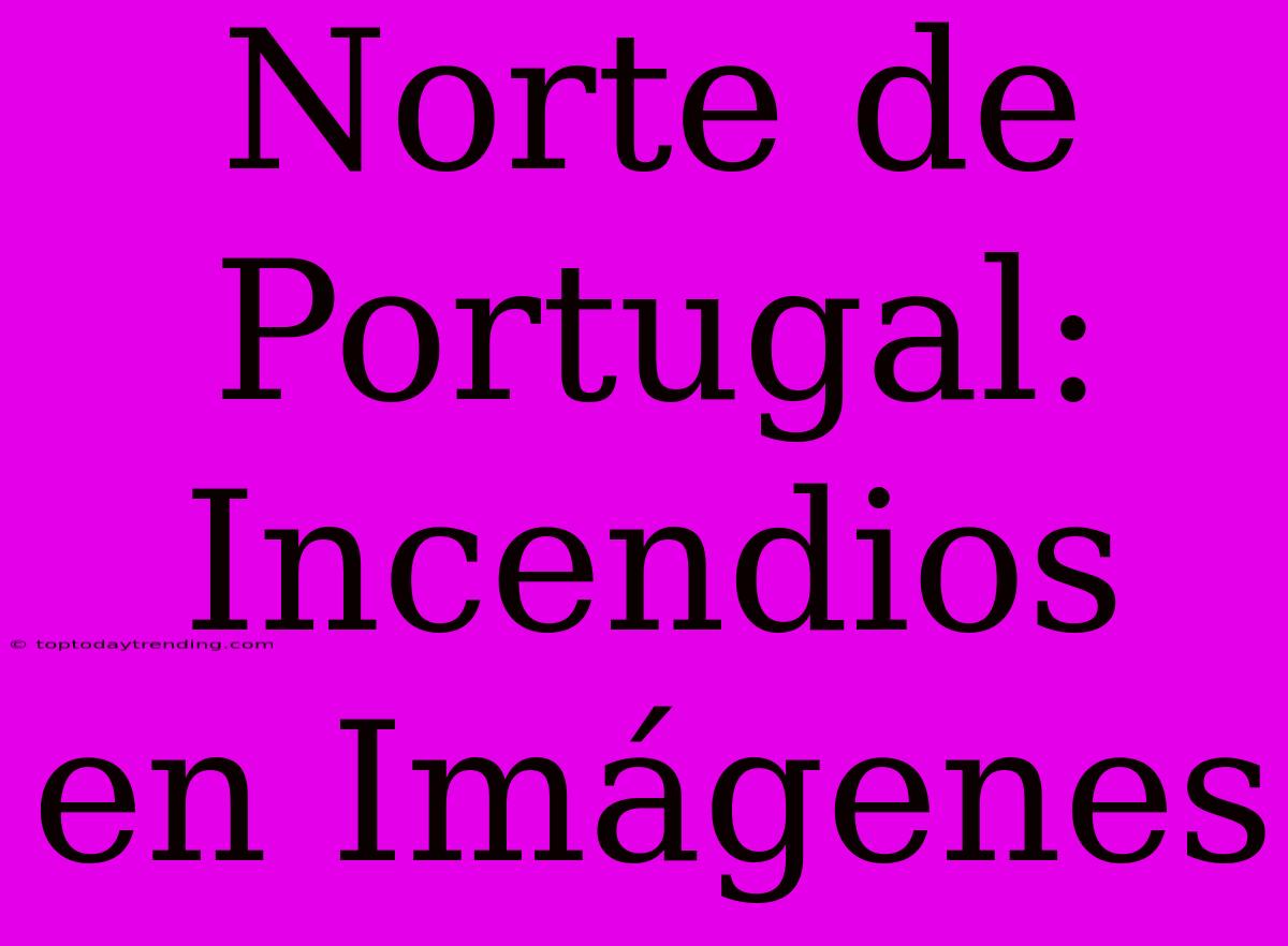 Norte De Portugal: Incendios En Imágenes