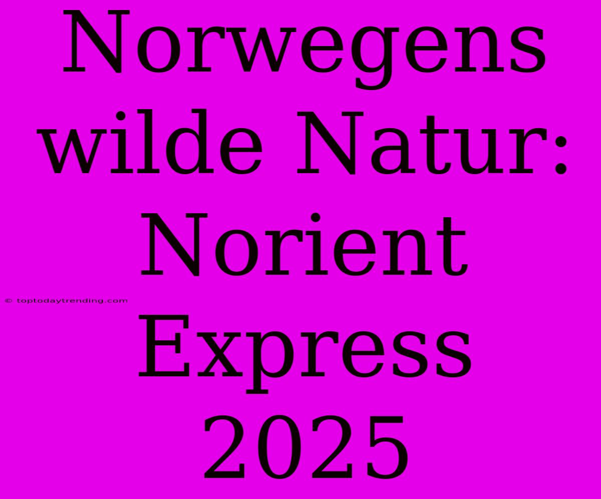 Norwegens Wilde Natur: Norient Express 2025