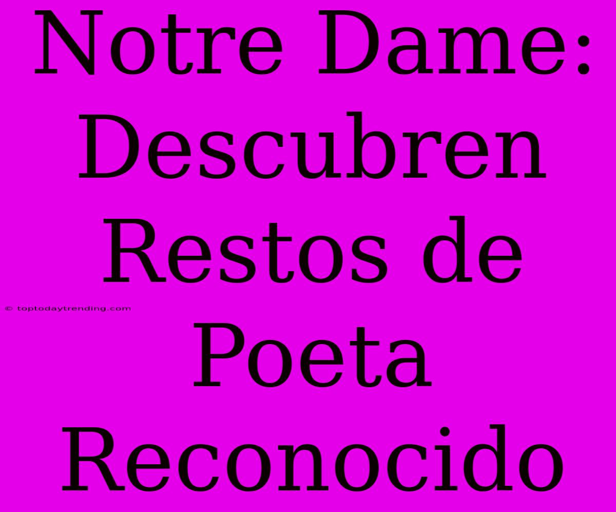 Notre Dame: Descubren Restos De Poeta Reconocido