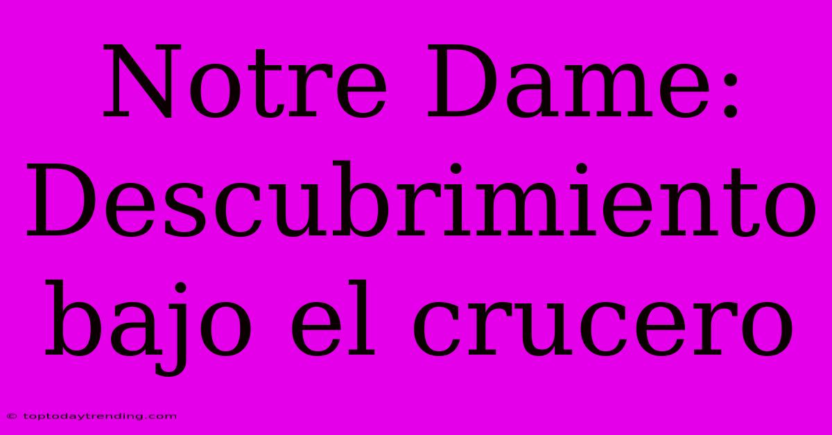 Notre Dame: Descubrimiento Bajo El Crucero