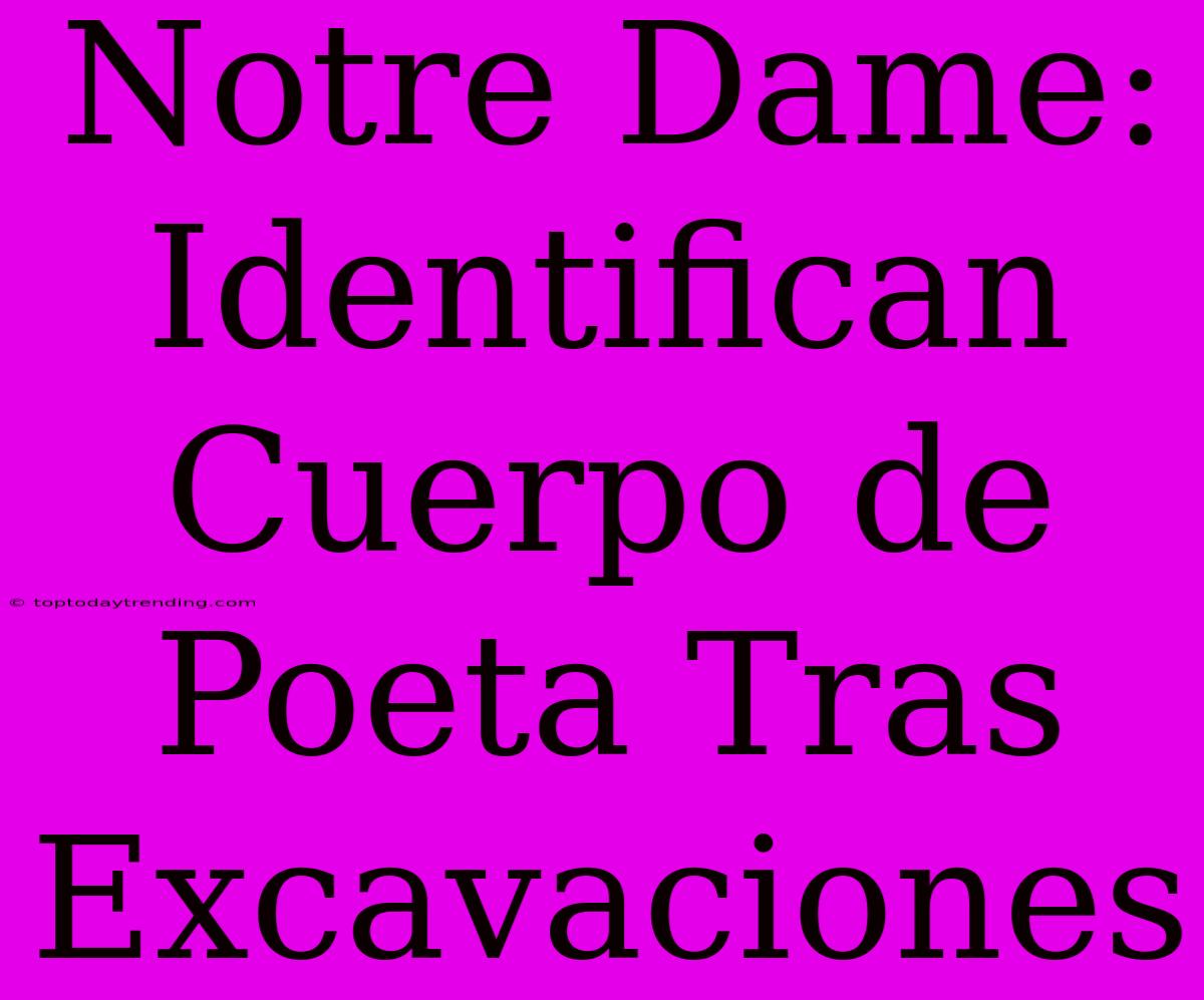 Notre Dame: Identifican Cuerpo De Poeta Tras Excavaciones