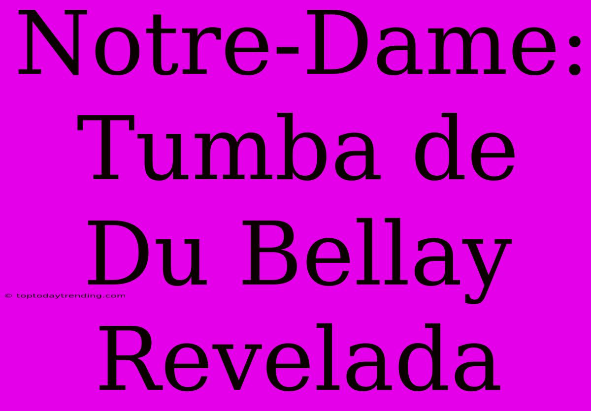 Notre-Dame: Tumba De Du Bellay Revelada