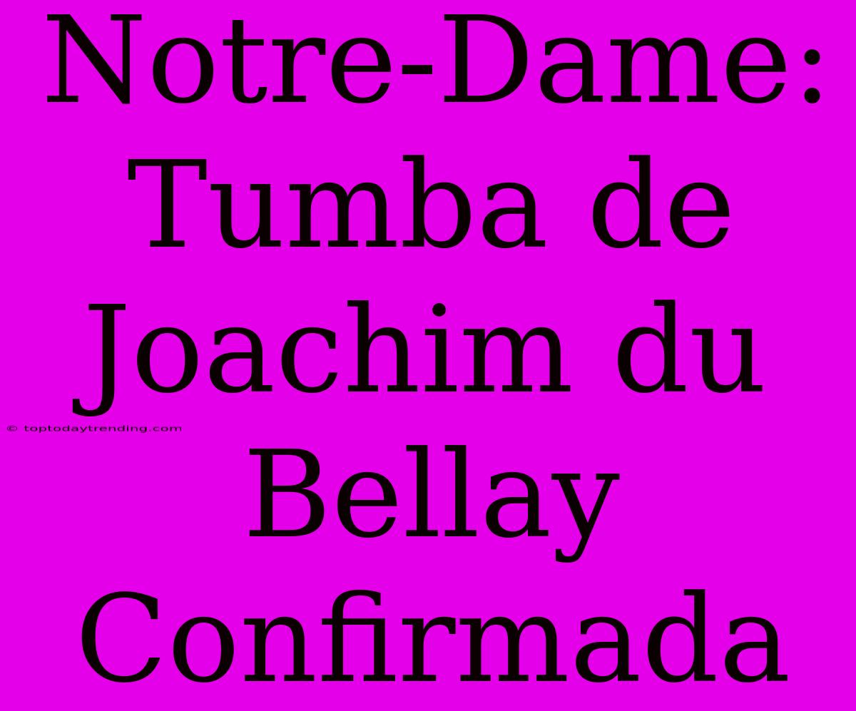 Notre-Dame: Tumba De Joachim Du Bellay Confirmada