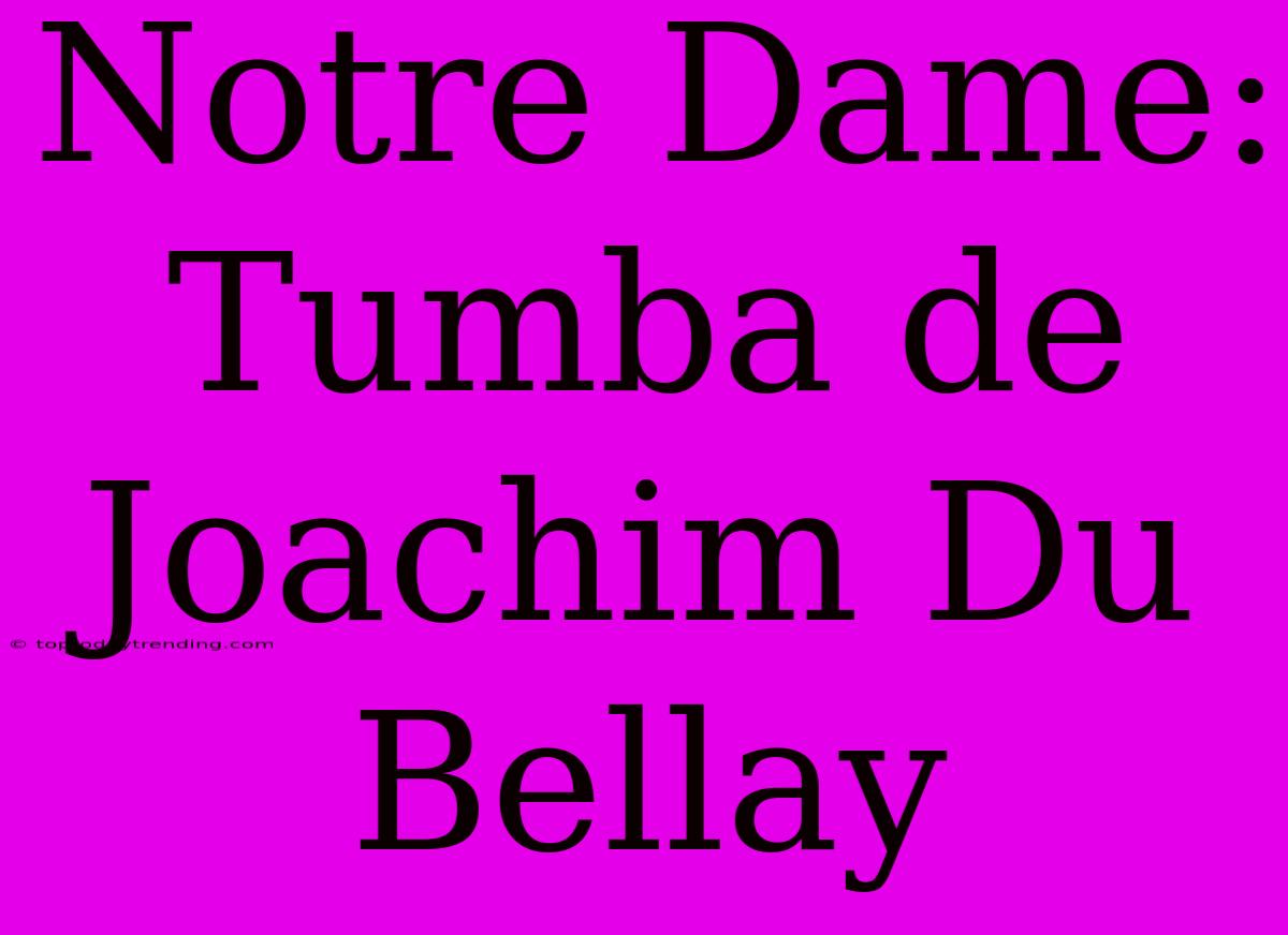 Notre Dame: Tumba De Joachim Du Bellay