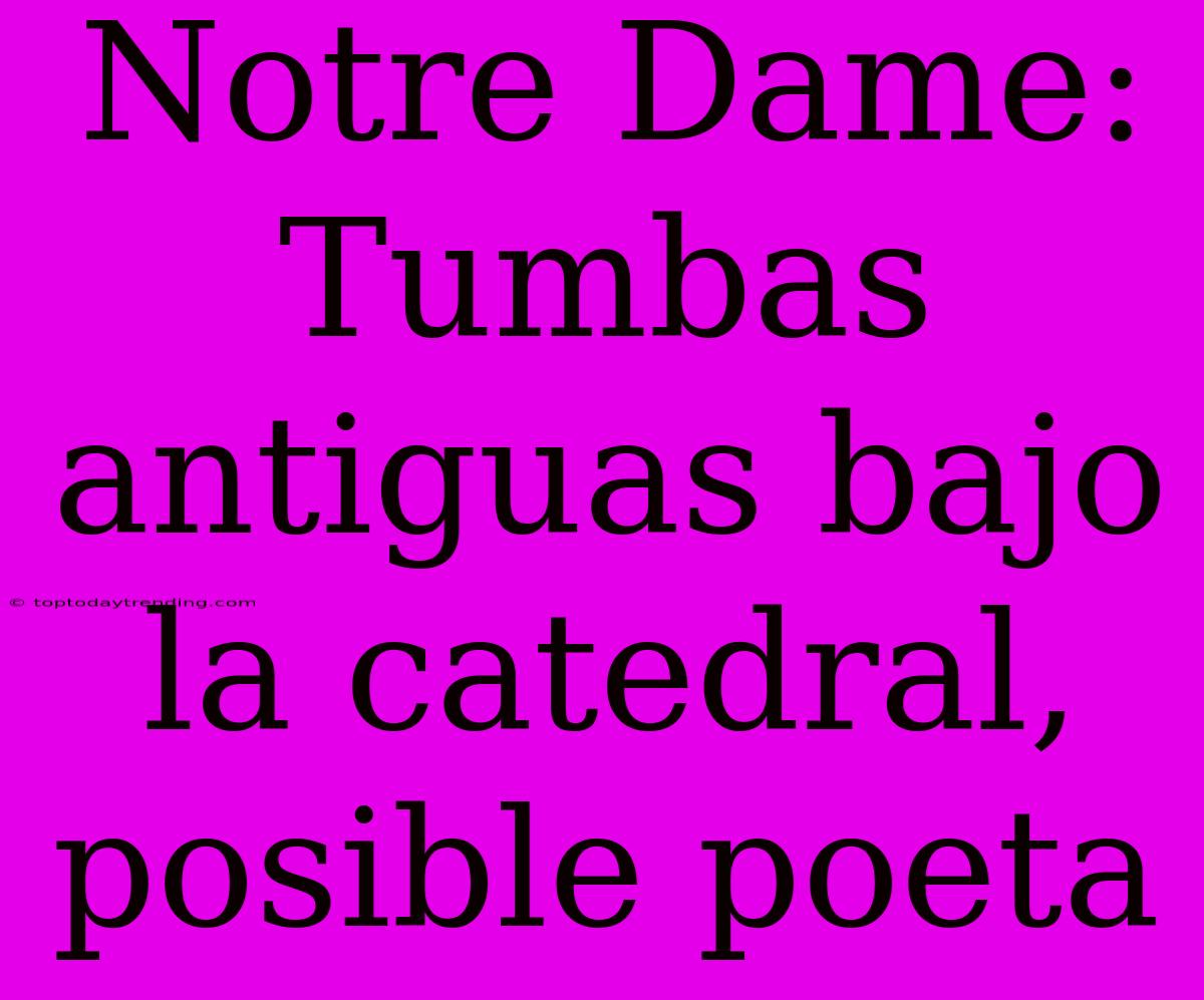 Notre Dame: Tumbas Antiguas Bajo La Catedral, Posible Poeta