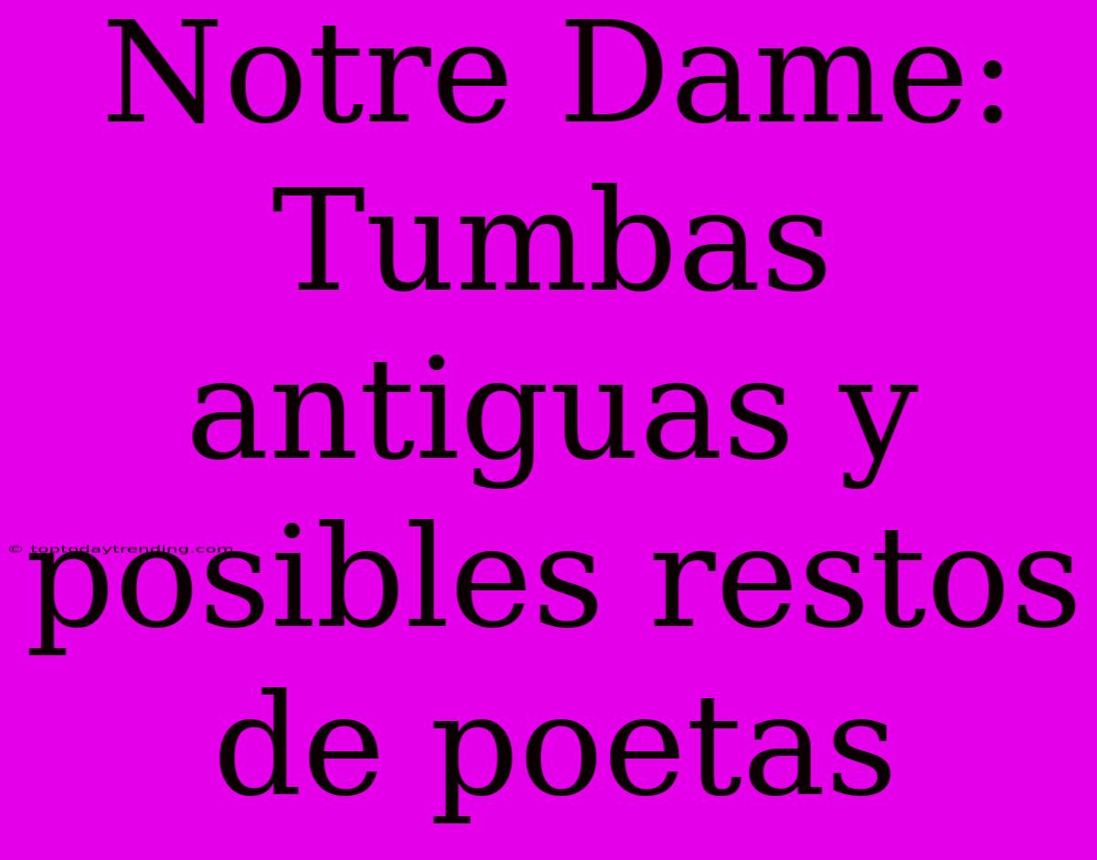 Notre Dame: Tumbas Antiguas Y Posibles Restos De Poetas