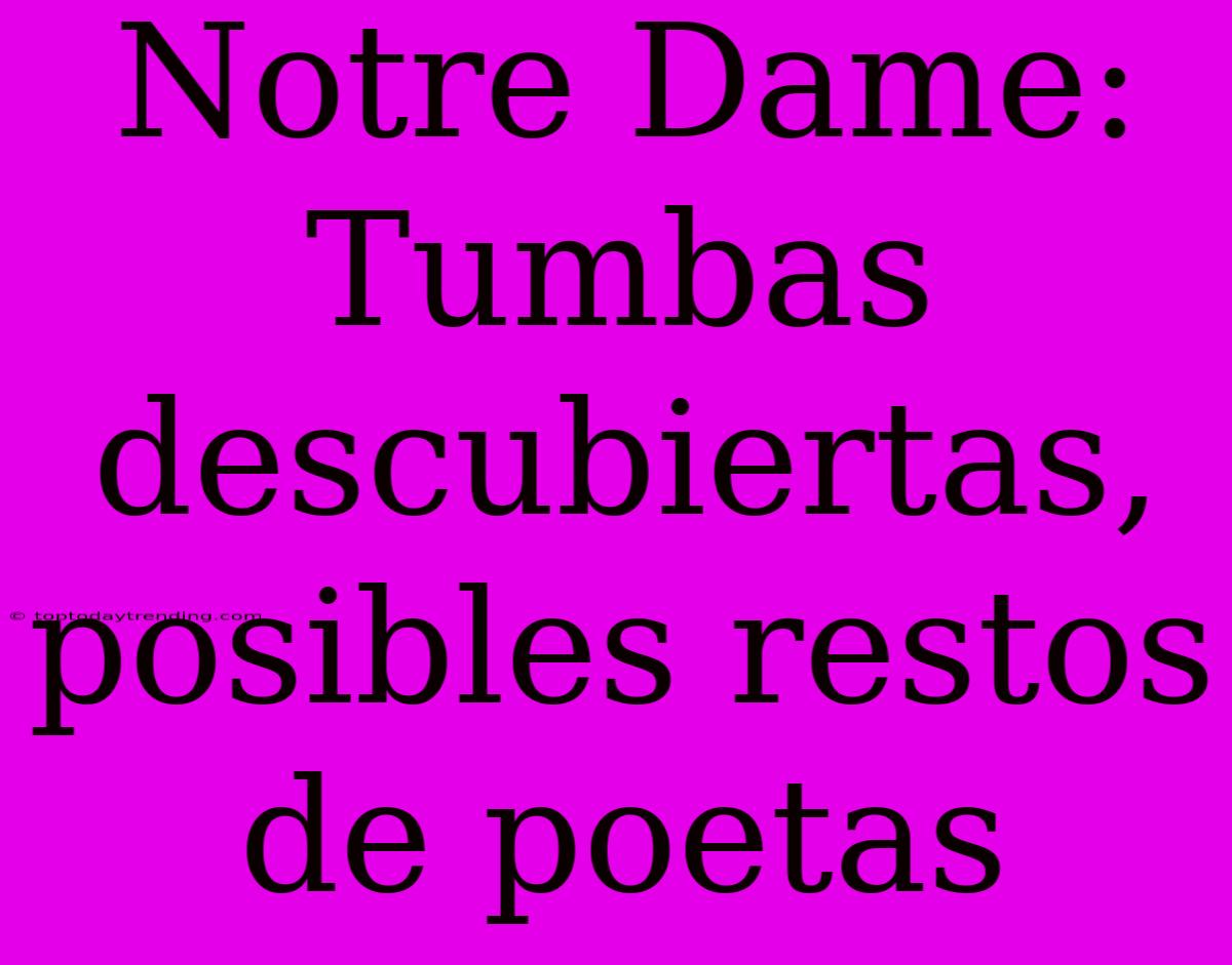 Notre Dame: Tumbas Descubiertas, Posibles Restos De Poetas