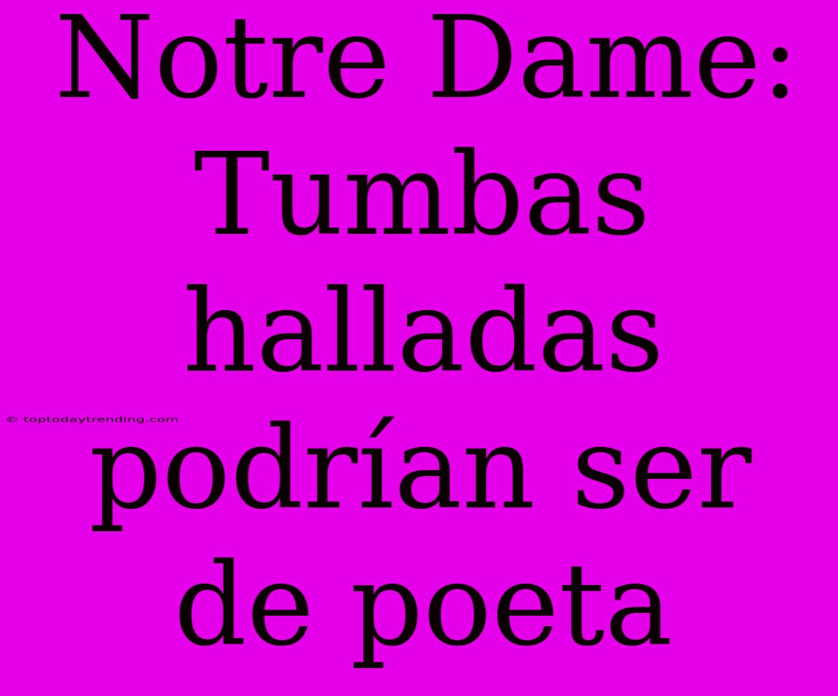 Notre Dame: Tumbas Halladas Podrían Ser De Poeta