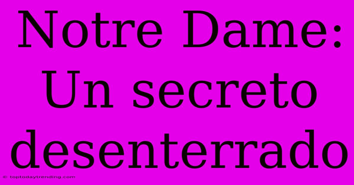 Notre Dame: Un Secreto Desenterrado