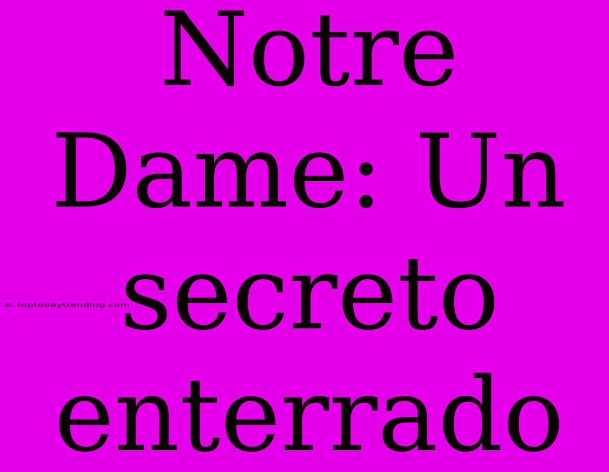 Notre Dame: Un Secreto Enterrado