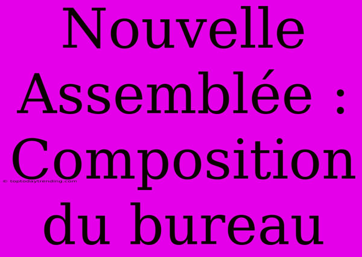 Nouvelle Assemblée : Composition Du Bureau