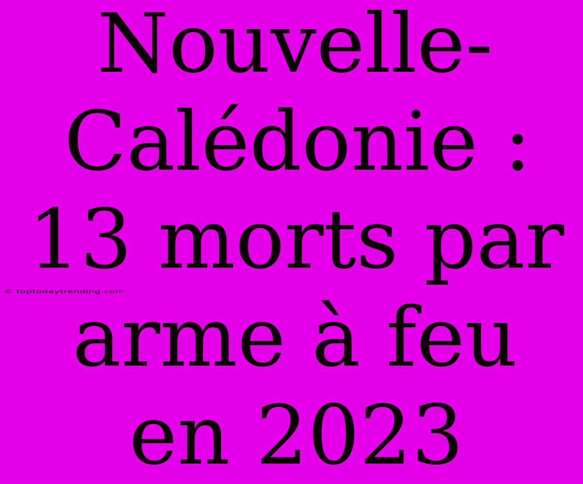 Nouvelle-Calédonie : 13 Morts Par Arme À Feu En 2023