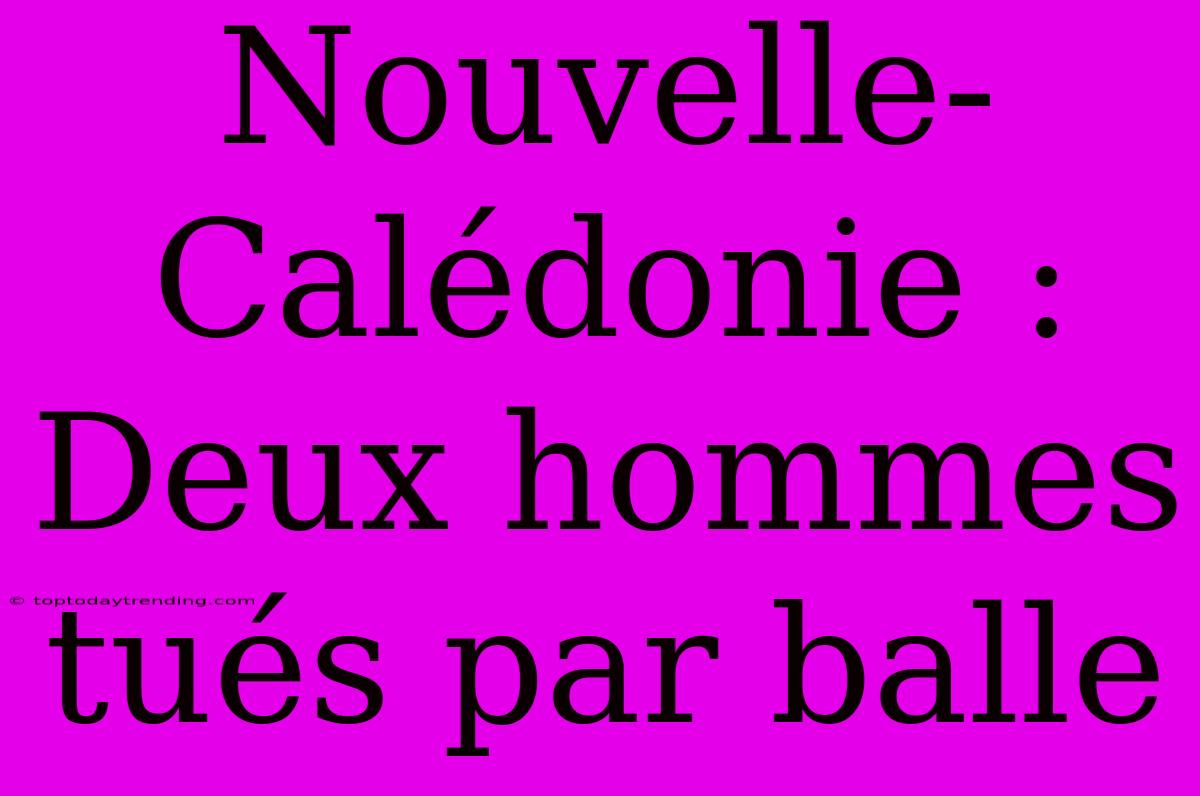 Nouvelle-Calédonie : Deux Hommes Tués Par Balle