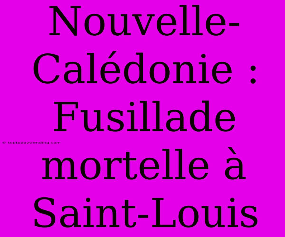 Nouvelle-Calédonie : Fusillade Mortelle À Saint-Louis