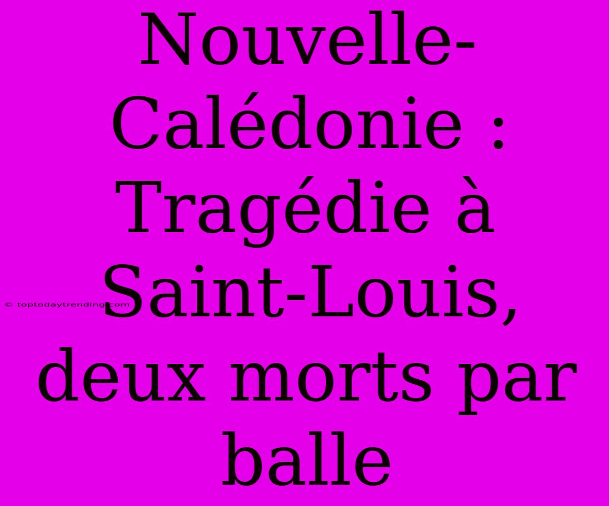 Nouvelle-Calédonie : Tragédie À Saint-Louis, Deux Morts Par Balle