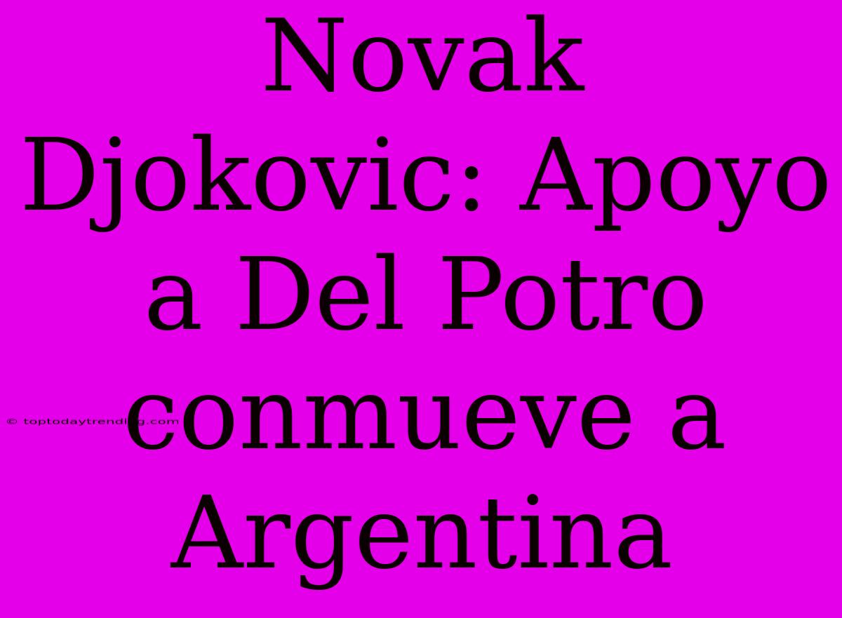 Novak Djokovic: Apoyo A Del Potro Conmueve A Argentina