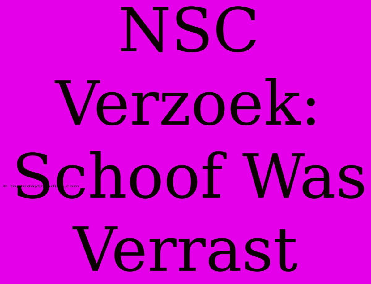 NSC Verzoek: Schoof Was Verrast