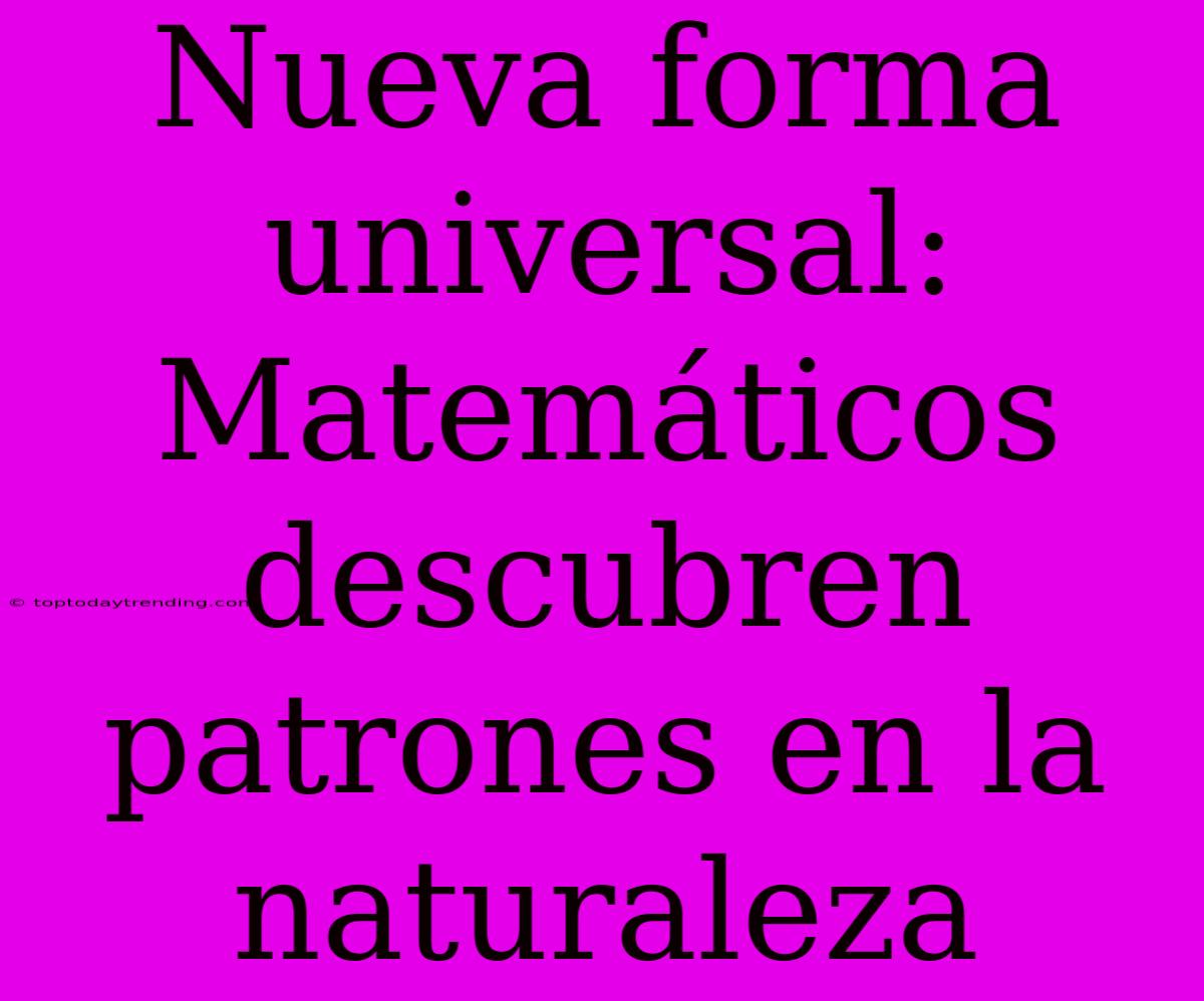 Nueva Forma Universal: Matemáticos Descubren Patrones En La Naturaleza