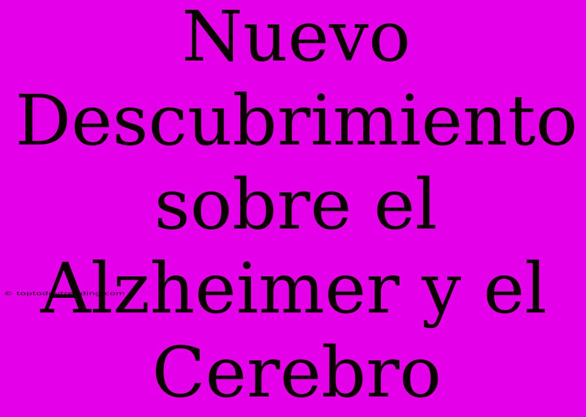 Nuevo Descubrimiento Sobre El Alzheimer Y El Cerebro