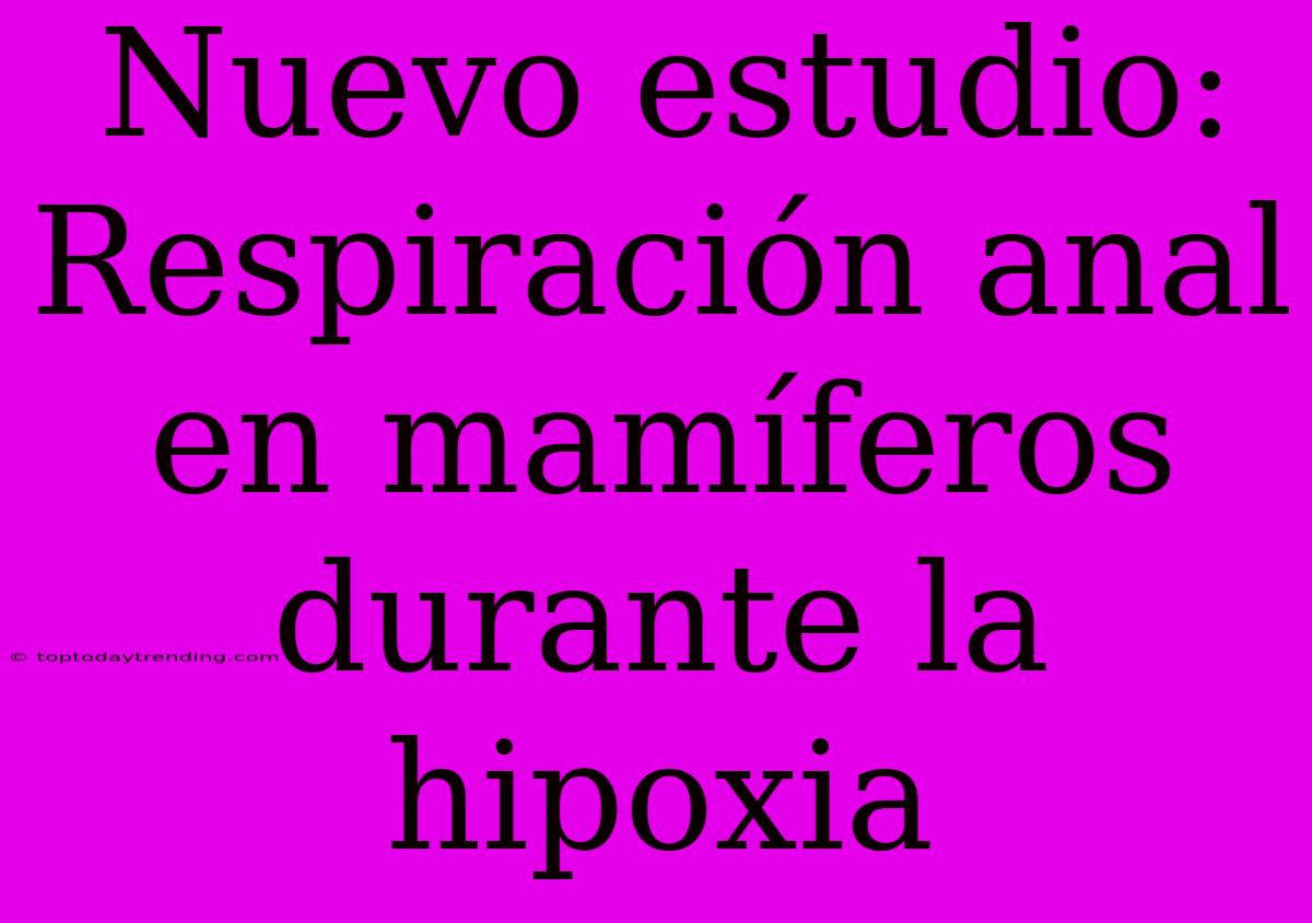 Nuevo Estudio: Respiración Anal En Mamíferos Durante La Hipoxia