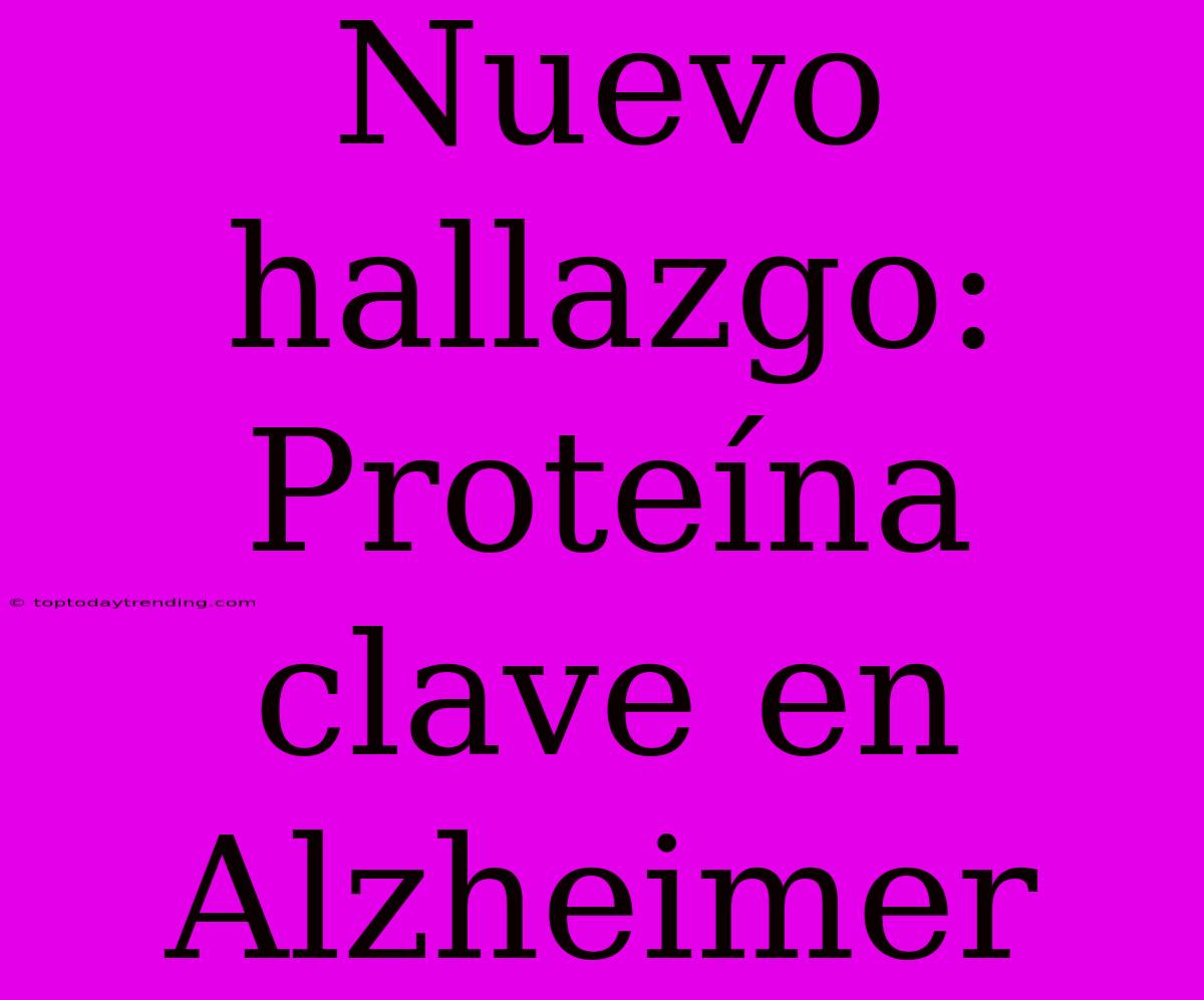 Nuevo Hallazgo: Proteína Clave En Alzheimer