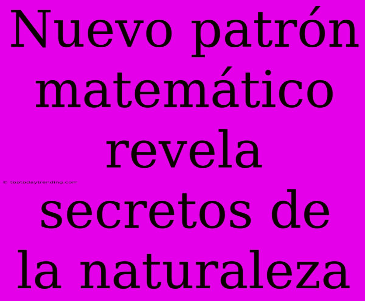 Nuevo Patrón Matemático Revela Secretos De La Naturaleza