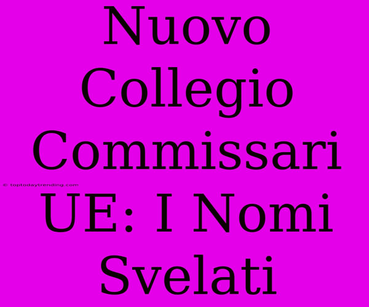 Nuovo Collegio Commissari UE: I Nomi Svelati