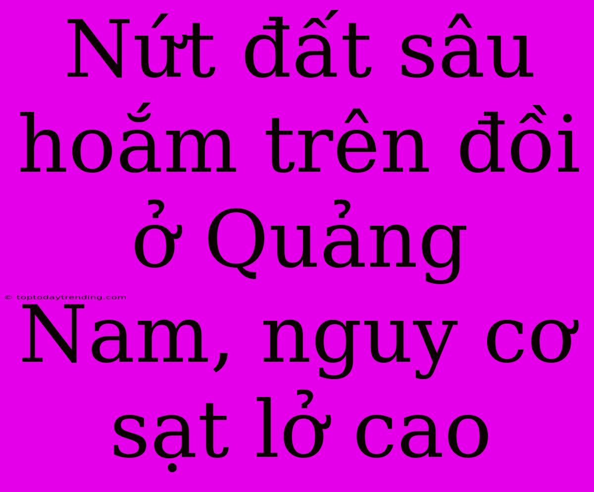 Nứt Đất Sâu Hoắm Trên Đồi Ở Quảng Nam, Nguy Cơ Sạt Lở Cao